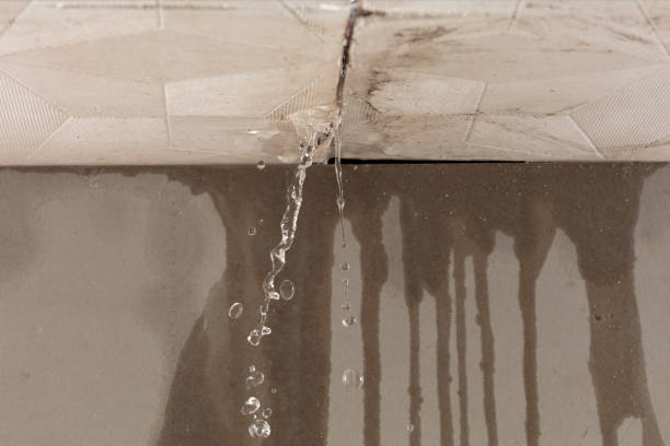 Professional Water Damage Repair technician working in Wood River Junction, RI